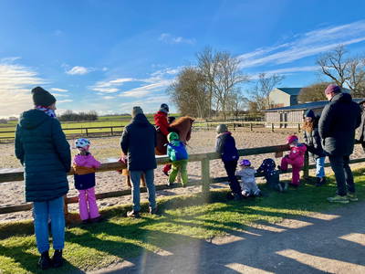 Bild 32 aus  Ferienhof Presener Deichkrone