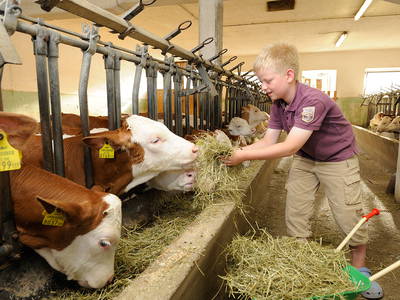 Bild 8 aus  Edmeierhof