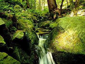 Bild 17 aus  Pokrzywnik 11