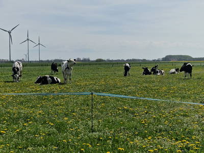 Bild 37 aus  Küstenhof Oldewurtel