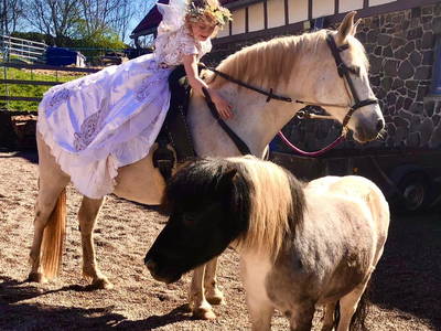 Bild 9 aus  Burgbauernhof am Katzenstein - Ursprünglichkeit des Landlebens gepaart mit Gesundheit und Luxus