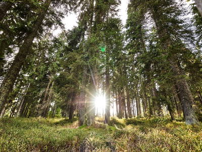 Bild 24 aus  Arber Lofts