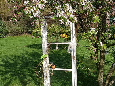 Bild 16 aus  Warnken-Urlaub