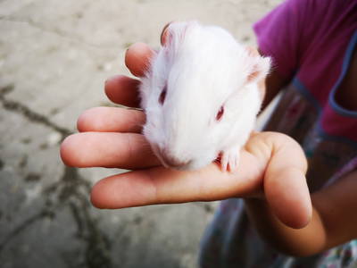 Bild 46 aus  Auf'm Reifnhof: Ihr Kreativhof am Simssee im Chiemgau