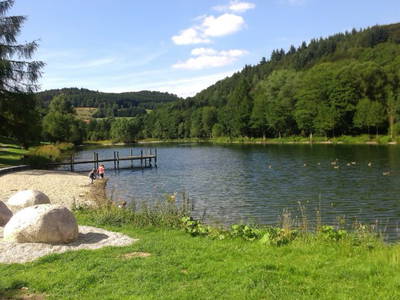 Bild 43 aus  Familienbauernhof Faß