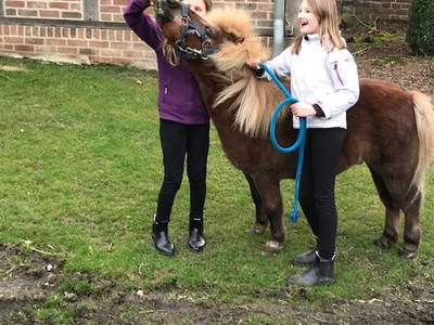 Bild 6 aus  Ferienhof  Jeiler