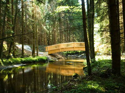 Bild 17 aus  Forstgut