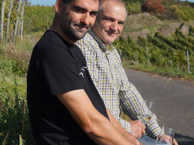 Bild 11 aus  Ferres Weingut