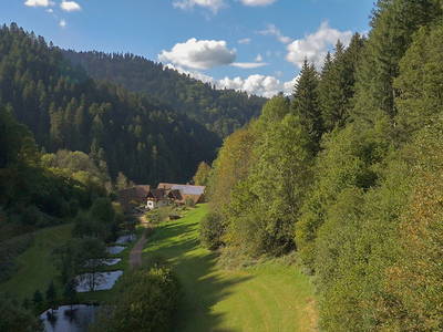 Bild 3 aus  Wellness-Bauernhof Eulersbacher Hof