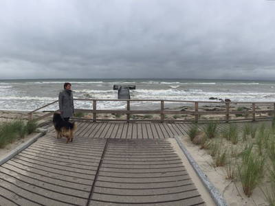 Bild 102 aus  Ostsee Ferienhof Kluvetasch