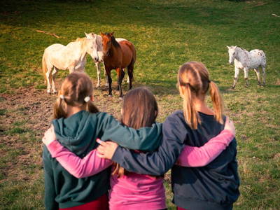Bild 14 aus  Waldbachhof