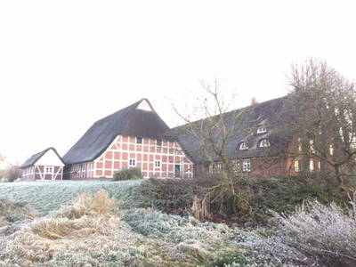 Bild 12 aus  Hof Sand