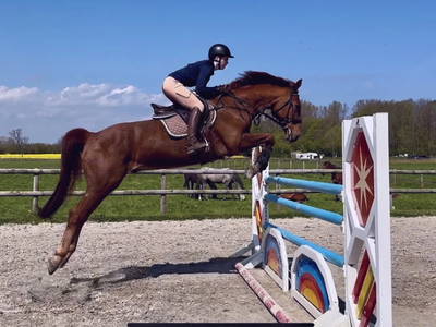 Bild 3 aus  Reiterhof Tramm