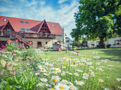 der ehem. Kuhstall, jetzt die Ferienwohnungen