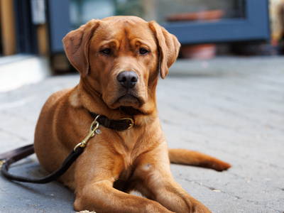 Bild 3 aus  Der Wassermannshof