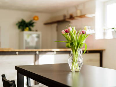 Bild 47 aus  Poenenhof