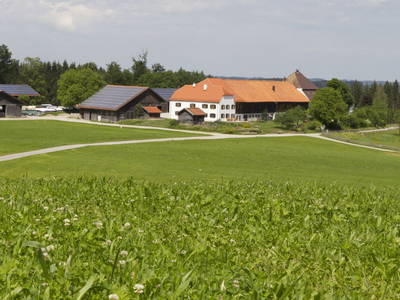 Bild 44 aus  LandSelection Gut Grasleiten