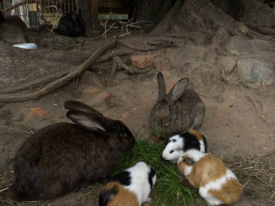 Bild 45 aus  LandSelection Rüsterhof