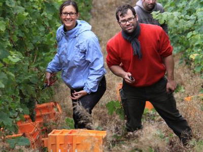 Bild 16 aus  Ferres Weingut