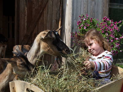 Bild 9 aus  Ferienwohnung Wenzl