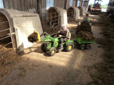 Bild 18 aus  Familienbauernhof Faß