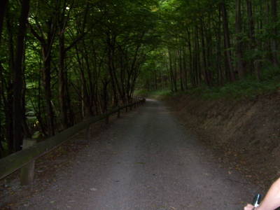 Bild 16 aus  Ferienhof Jansen