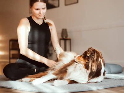 Bild 27 aus  Okelmann's - Eco Hotel & Apartement mitten im Norden