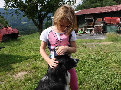 Bild 12 aus  Bauernhof Rupertiblick