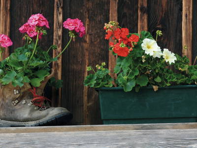 Bild 16 aus  Grannerhof - Urlaub auf dem Bauernhof