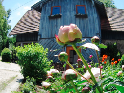 Bild 6 aus  KnallerbsenHof