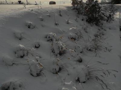 Bild 39 aus  Marienhof