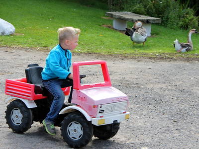 Bild 4 aus  Ostseeferienhof Tralau