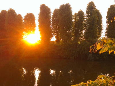 Bild 14 aus  Gut Petersdorf