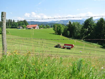 Bild 28 aus  Biohof Bilger