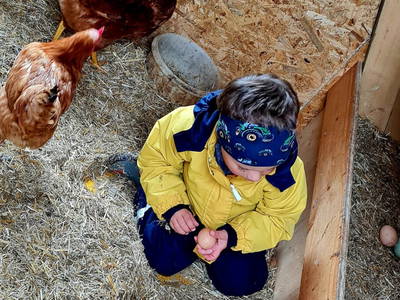 Bild 8 aus  Mittersteghof