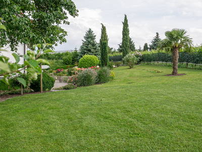 Bild 34 aus  Obst- und Ferienhof Gomeringer