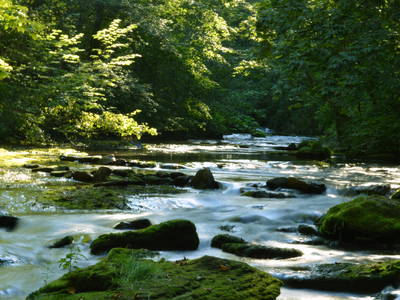 Bild 25 aus  Sternenhof