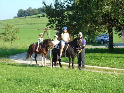 Bild 3 aus  Meisterbauer-Hof