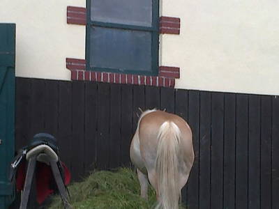 Bild 3 aus  Rittergut Bielatal