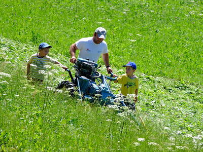 Bild 19 aus  Fillhof