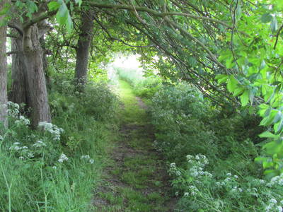 Bild 14 aus  Ferienhof Severin