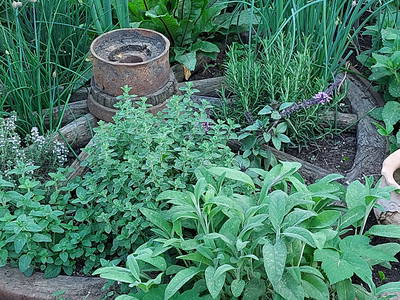 Bild 32 aus  Ferienhof Lochau