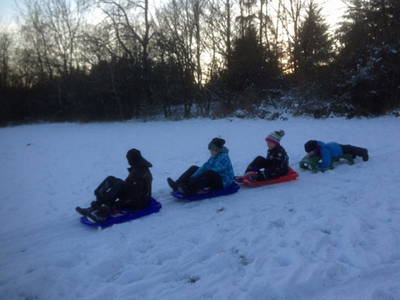 Bild 16 aus  Hof Hagdorn