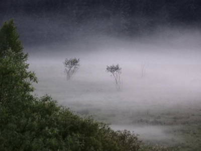 Bild 8 aus  Holzhäusl am Nationalpark