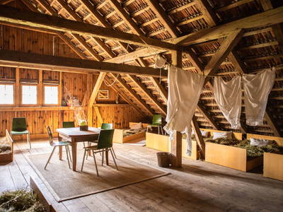 Bild 15 aus  Körnermühle