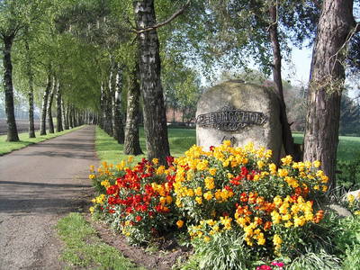 Einfahrt Birkenallee