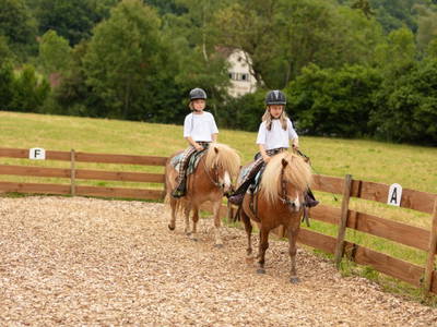 Bild 27 aus  Hof in Liebesdorf