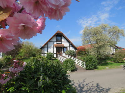 Bild 33 aus  Feriendorf Altes Land Verwaltungsgesellschaft mbH