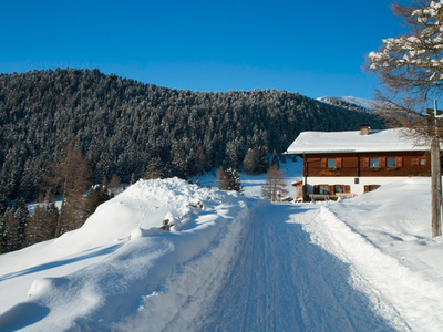 Bild 30 aus  Stoffnerhof