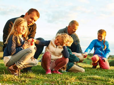 Bild 29 aus  Ferienhof Stetter